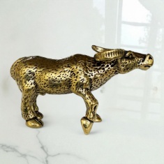 ������ ��������� �� ������