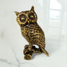 ���� ��������� �� ������ 5 ��