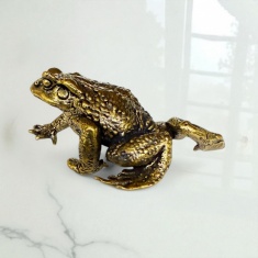 ���� ��������� �� ������ 6 ��