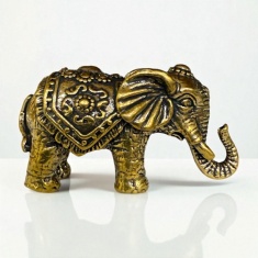 ���� ��������� �� ������ 5.5 � 3 ��